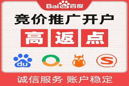 百度竞价排名实战：某行业领先企业的成功之路